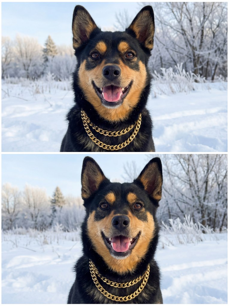 Winter collage for pitomca AI effect result example